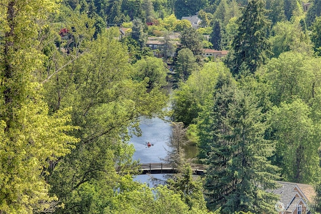8818 NE 173rd Pl Unit B, Bothell, WA 98011 - drone / aerial view of a large body of water and a heavily wooded area