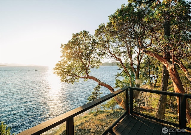 449 Madrona Dr, Friday Harbor, WA 98250 - water view