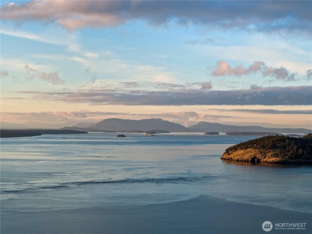 449 Madrona Dr, Friday Harbor, WA 98250 - property view of water with a mountain view