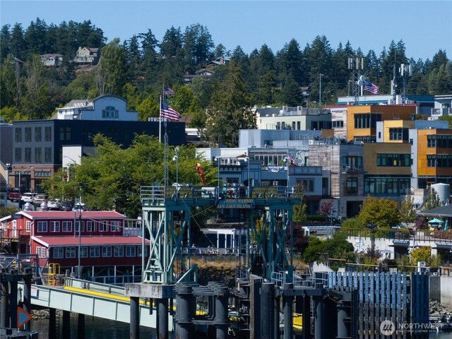 449 Madrona Dr, Friday Harbor, WA 98250 - city view