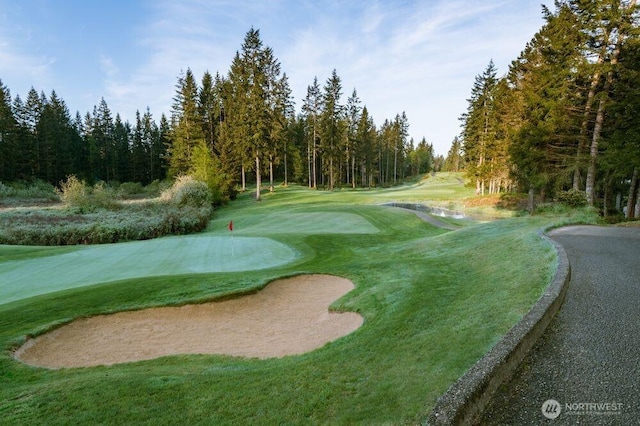 5702 Thornhill Ave SW, Port Orchard, WA 98367 - view of property's community featuring golf course view and a lawn