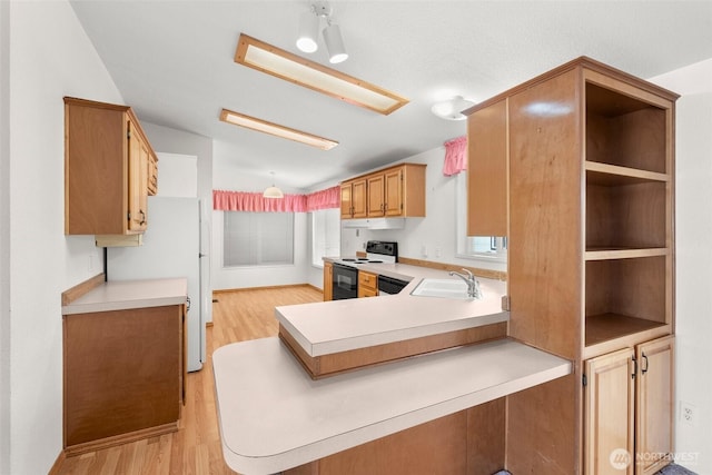 kitchen featuring light countertops, range with electric cooktop, a sink, and light wood-type flooring