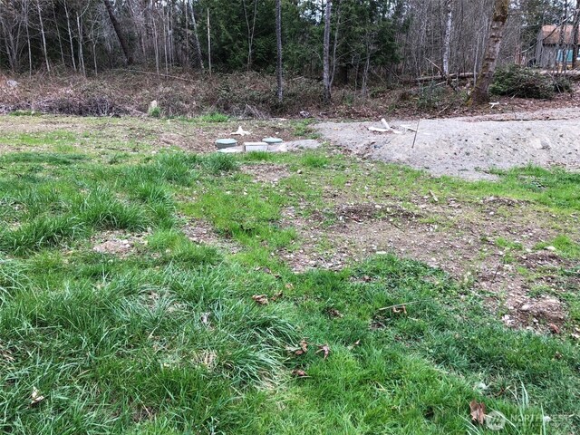 view of yard featuring a wooded view