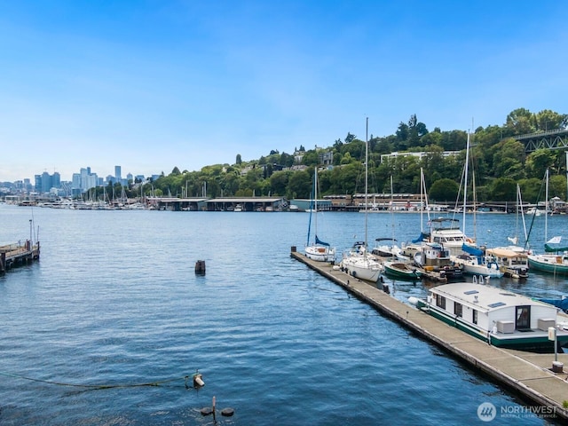 1101 N Northlake Way Unit 41, Seattle, WA 98103 - dock featuring a water view