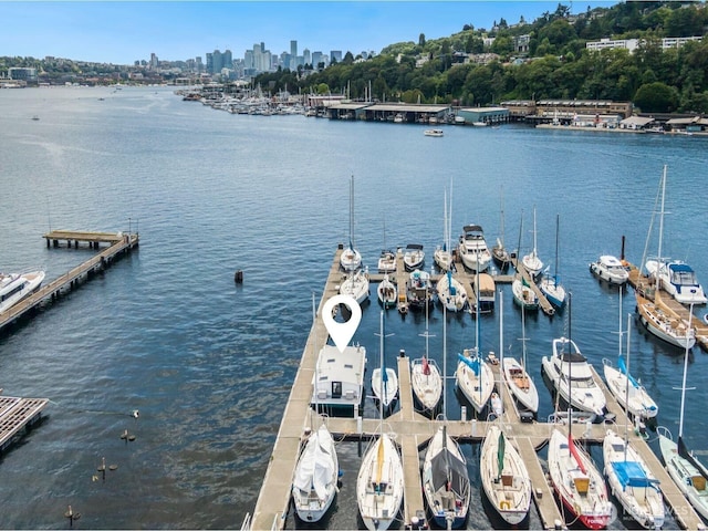 1101 N Northlake Way Unit 41, Seattle, WA 98103 - dock with a water view and a view of skyline