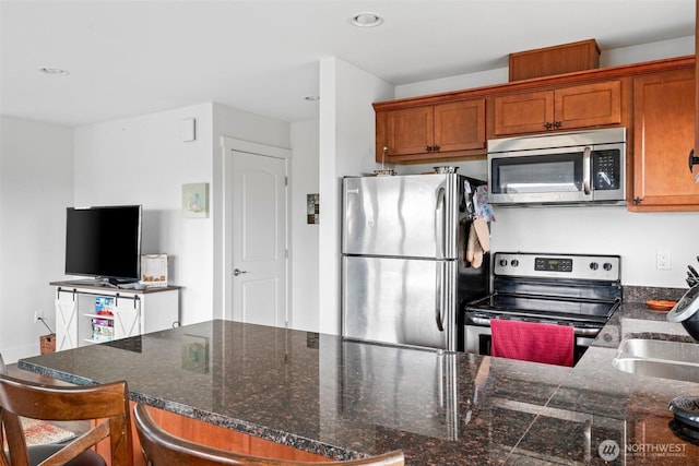 kitchen with dark countertops, a sink, and stainless steel appliances
