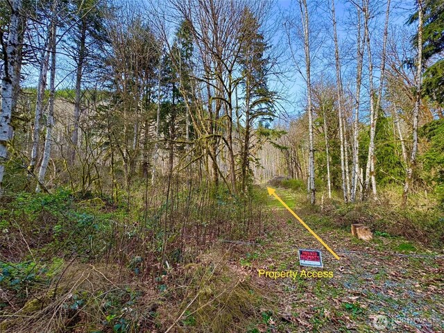 36411 324th St NE, Arlington, WA 98223 - photo 7