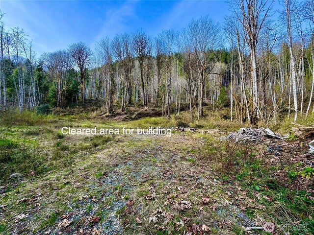 36411 324th St NE, Arlington, WA 98223 - photo 8