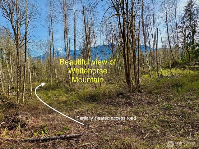36411 324th St NE, Arlington, WA 98223 - photo 11