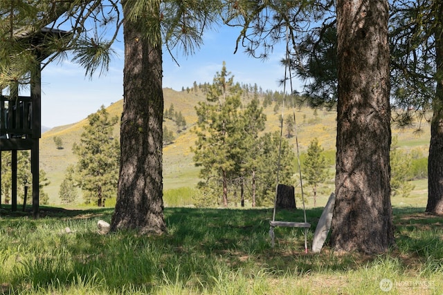 696 Texas Creek Rd, Carlton, WA 98814 - view of landscape featuring a mountain view