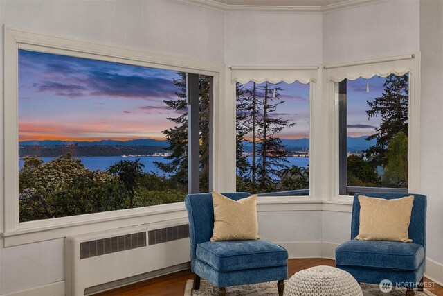 4201 N Mason St, Tacoma, WA 98407 - living area featuring radiator, wood finished floors, a water view, and crown molding