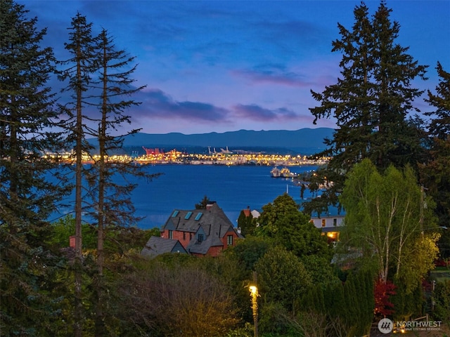 4201 N Mason St, Tacoma, WA 98407 - water view featuring a mountainous background