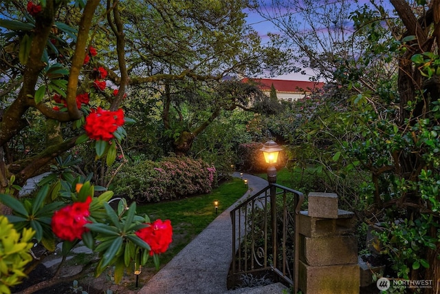 4201 N Mason St, Tacoma, WA 98407 - view of yard
