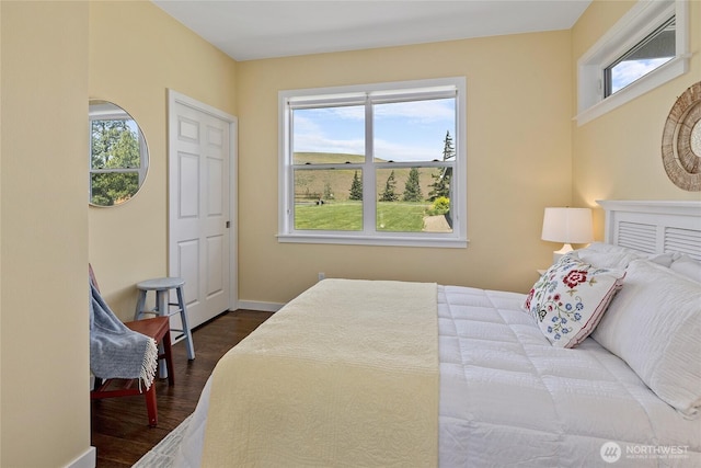 1140 Twin Lakes Rd, Cle Elum, WA 98922 - bedroom featuring multiple windows, wood finished floors, and baseboards