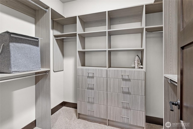 31 Powder Cap Ct, Cle Elum, WA 98922 - walk in closet with carpet