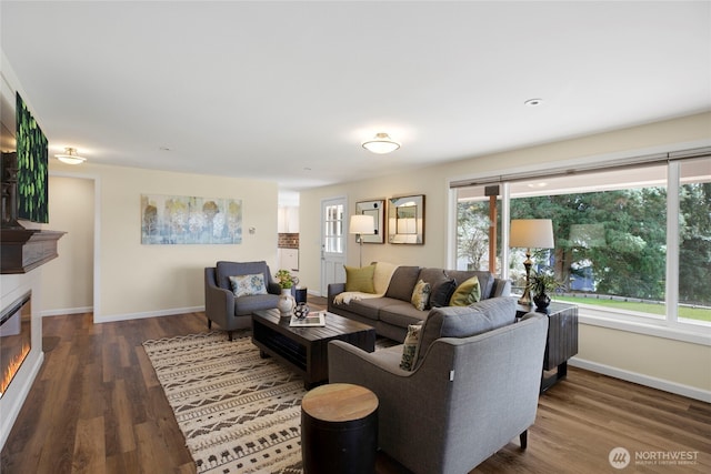 living area with baseboards, wood finished floors, and a glass covered fireplace