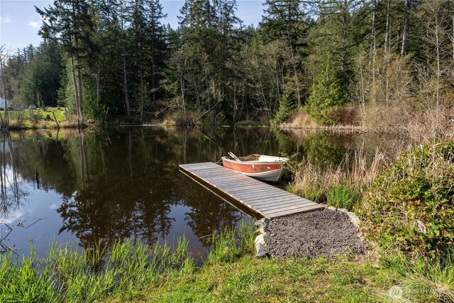324 Gill Ln, Friday Harbor, WA 98250 - dock area with a view of trees and a water view