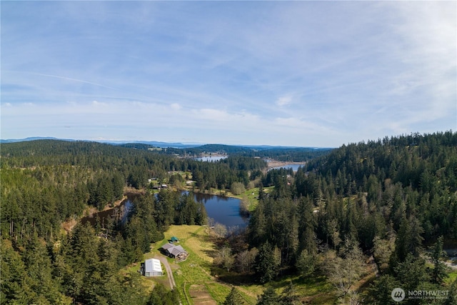 324 Gill Ln, Friday Harbor, WA 98250 - aerial view with a forest view and a water view