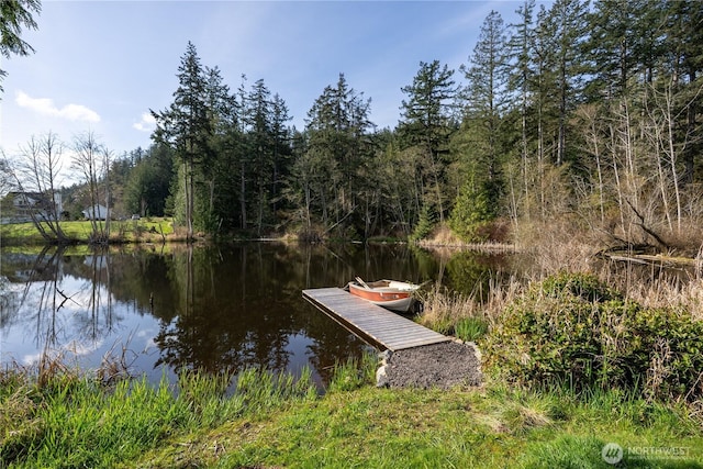 324 Gill Ln, Friday Harbor, WA 98250 - view of dock with a water view
