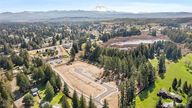 19457 116th St E, Bonney Lake, WA 98391 - view of property location featuring a water and mountain view and a forest