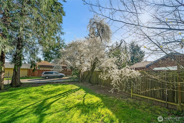 14207 6th Ave S, Burien, WA 98168 - view of yard featuring fence