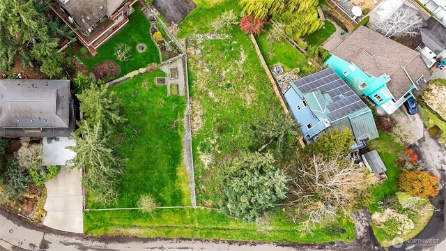 9017 51st Ave NE, Seattle, WA 98115 - photo 6