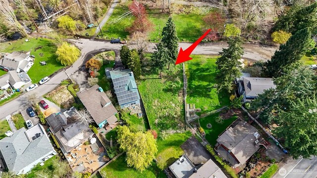 9017 51st Ave NE, Seattle, WA 98115 - photo 4