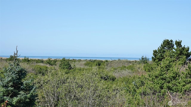 571 Sand Dune Ave SW, Ocean Shores, WA 98569 - photo 3