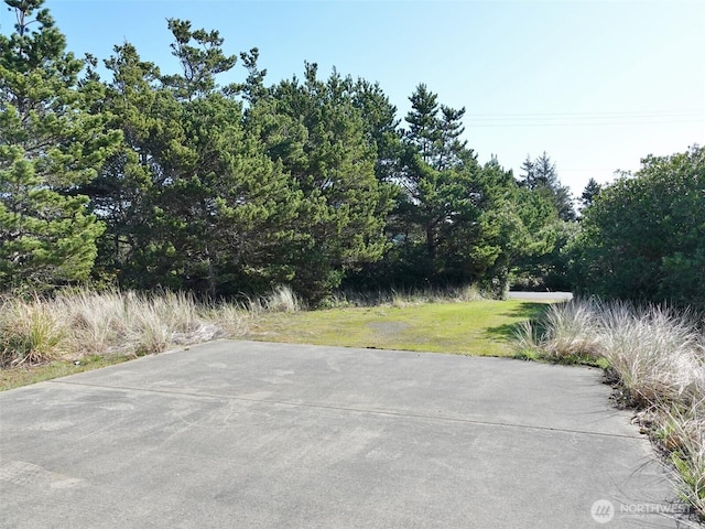 571 Sand Dune Ave SW, Ocean Shores, WA 98569 - photo 12