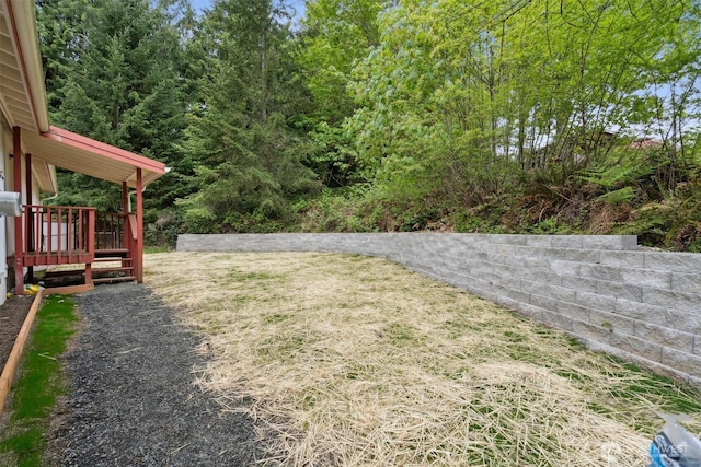 view of yard
