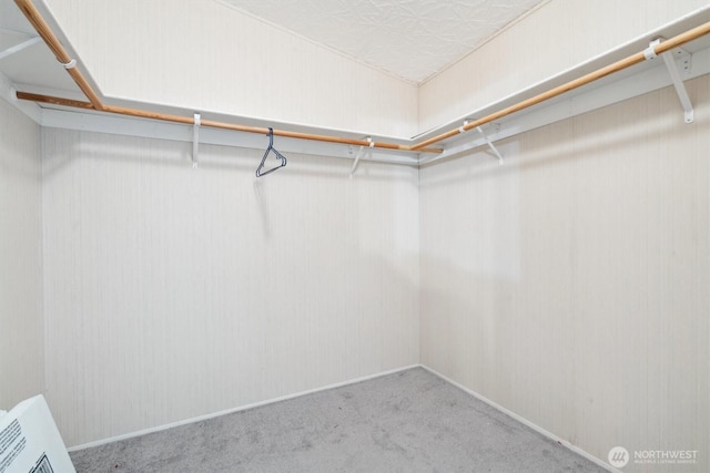 spacious closet featuring carpet flooring