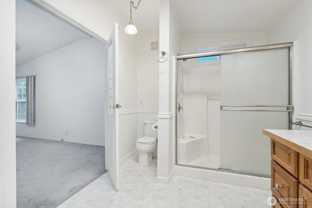 bathroom with vanity, a shower stall, and toilet