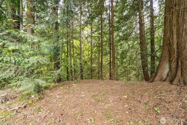 view of local wilderness with a forest view