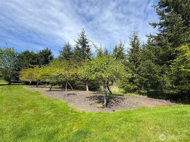 80 N Tara Ln, Port Angeles, WA 98362 - photo 32