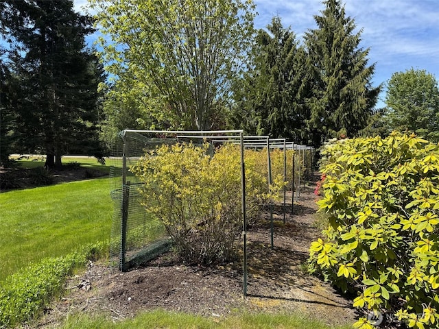 80 N Tara Ln, Port Angeles, WA 98362 - photo 33