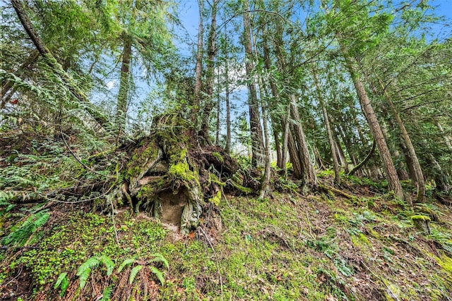 123 Highland Dr E, Roy, WA 98580