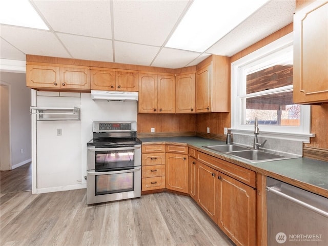 kitchen featuring light wood-type flooring, under cabinet range hood, a sink, and stainless steel appliances