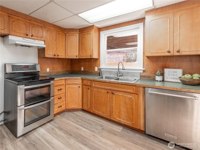 kitchen featuring a sink, appliances with stainless steel finishes, light wood-style flooring, under cabinet range hood, and a drop ceiling