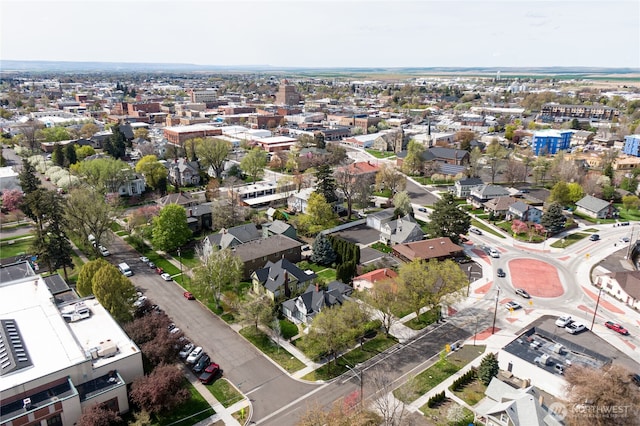 drone / aerial view