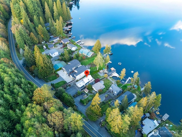 drone / aerial view with a residential view and a water view