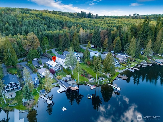drone / aerial view featuring a view of trees and a water view
