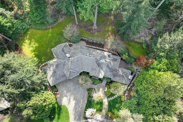 drone / aerial view