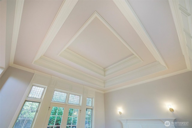 room details with ornamental molding and a raised ceiling