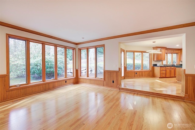 unfurnished living room featuring light wood-style flooring, ornamental molding, and wainscoting