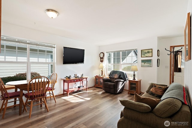 1021 Sinclair Way Unit 38, Burlington, WA 98233 - living room featuring wood finished floors