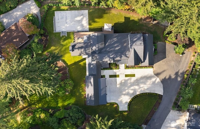 drone / aerial view