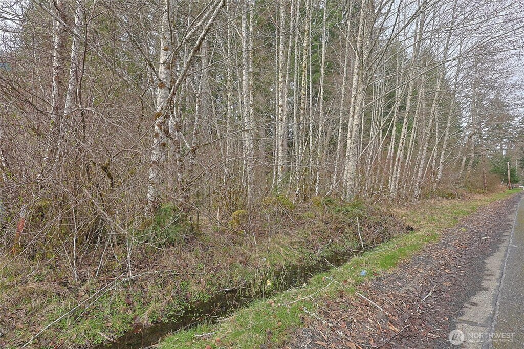 0 Skate Creek Rd N, Eatonville, WA 98328