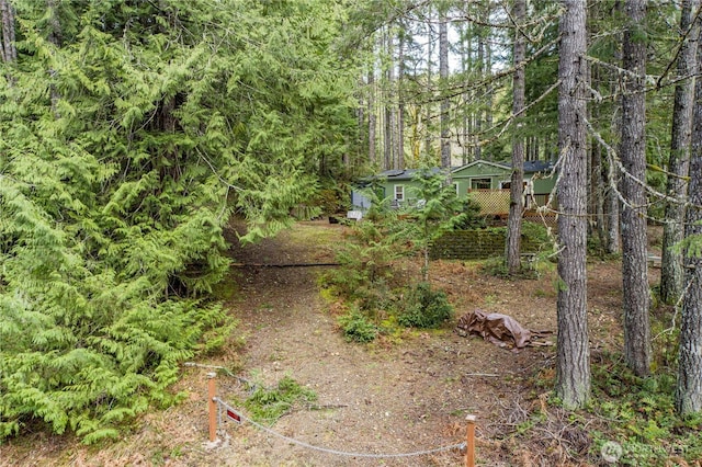 161 N Dow Mountain Rd, Hoodsport, WA 98548 - view of landscape featuring a forest view