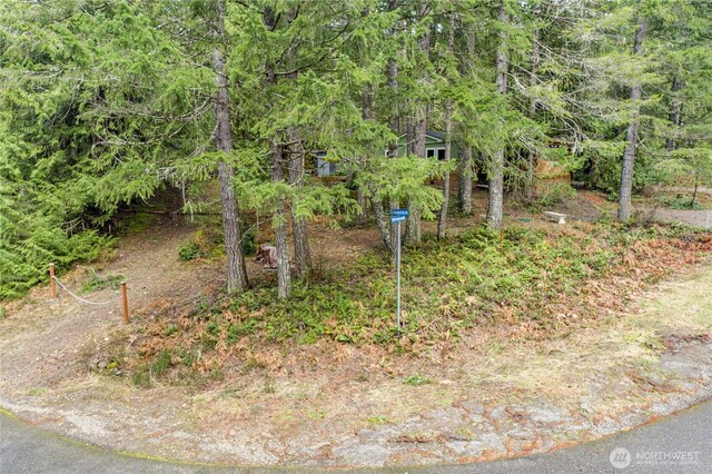 161 N Dow Mountain Rd, Hoodsport, WA 98548 - view of yard