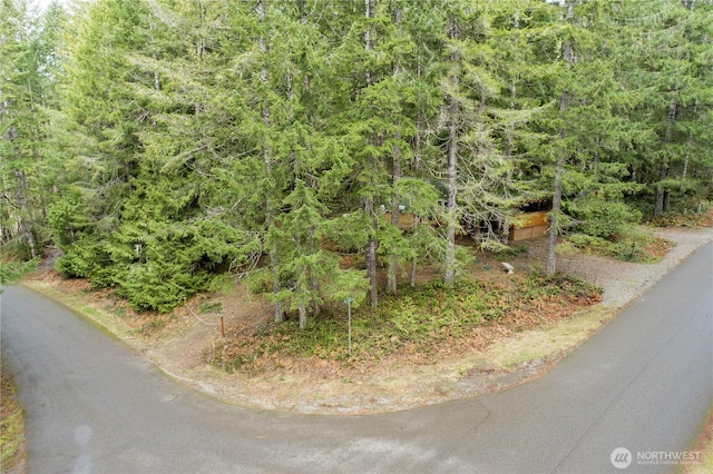 161 N Dow Mountain Rd, Hoodsport, WA 98548 - view of road